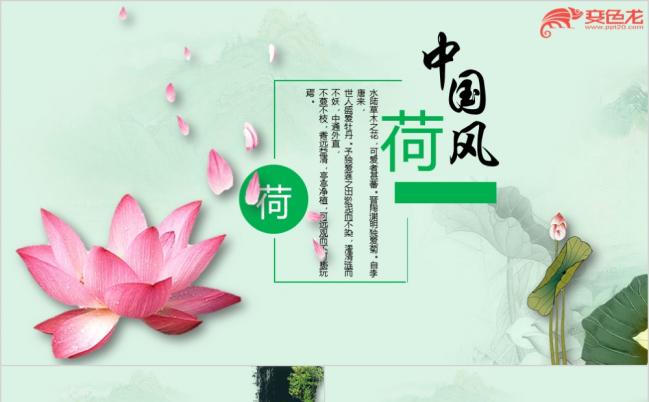 中国风荷花国学经典古典传统文化介绍PPT模板缩略图