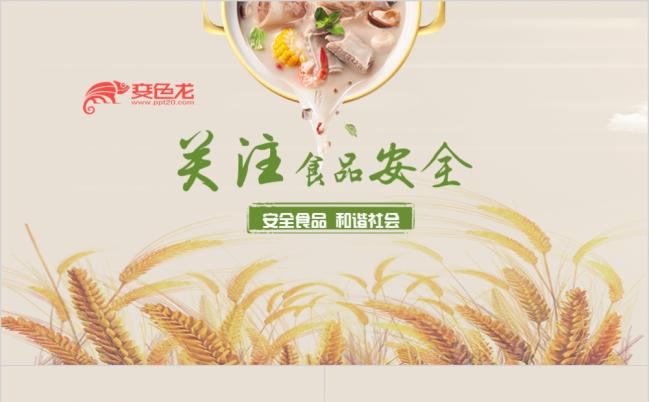 简约风关注食品安全和谐社会PPT动态模板缩略图