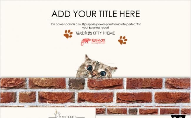 猫咪宠物可爱趣味俏皮产品介绍个人总结教师公开课PPT模板缩略图