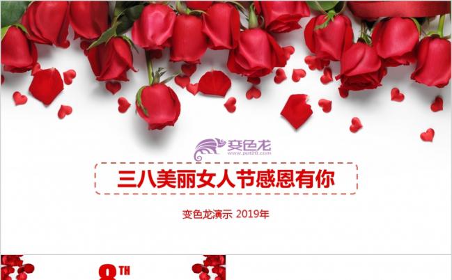 大气唯美三八魅力女人节玫瑰花朵PPT模板缩略图