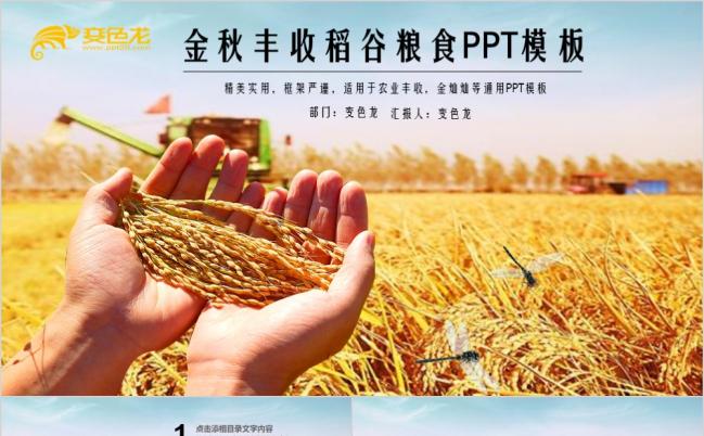 精美严谨金秋丰收稻谷粮食品牌宣传PPT模版缩略图