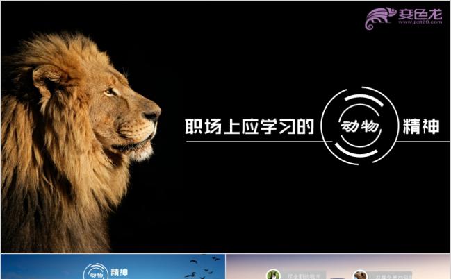 创意个性员工培训职场动物精神课件PPT模版缩略图