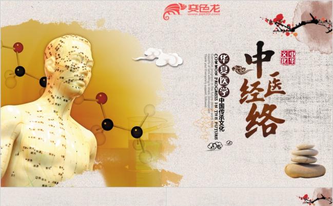 中国风传统中医养生经络医学PPT模板缩略图