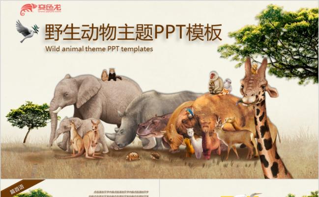 整洁大方保护野生动物主题活动宣传PPT模版缩略图