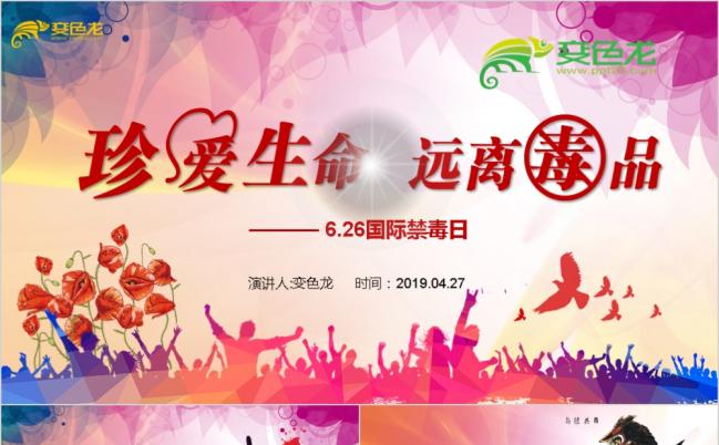 炫彩大气全国禁毒日珍爱生命远离毒品安全宣传教育PPT模板缩略图