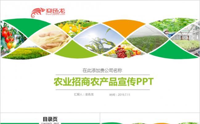 简约多彩风绿色生态农业招商农产品PPT模板缩略图