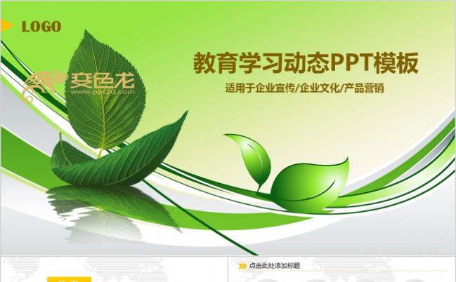 清新多彩风微粒体教育教学课件培训PPT模板缩略图