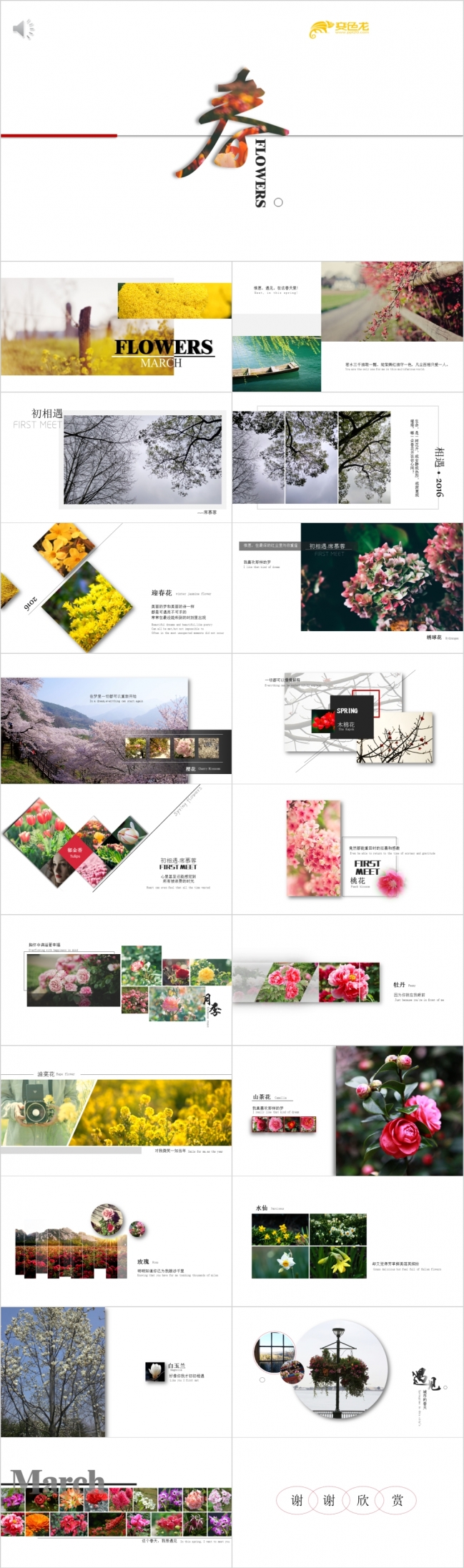 春意盎然主题相册展示PPT模版