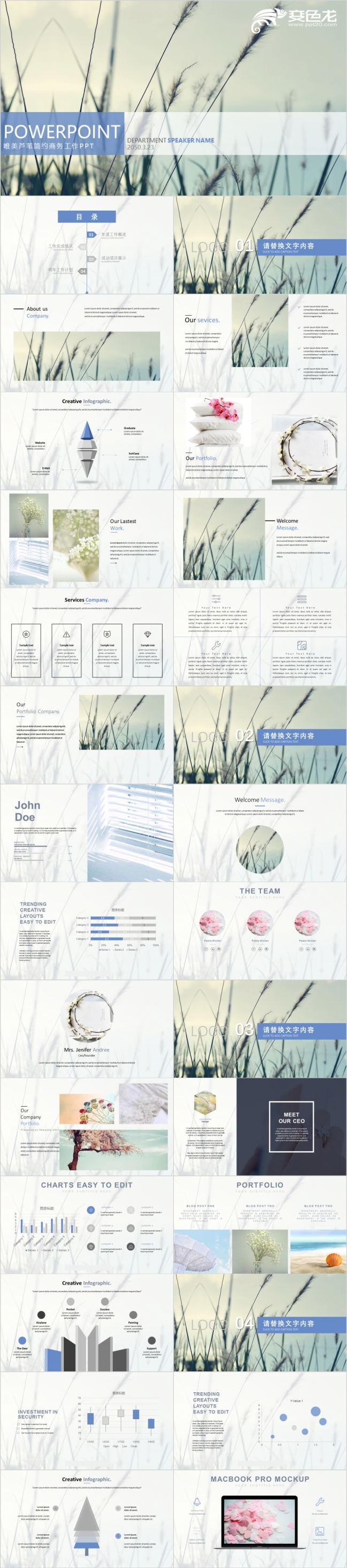 唯美芦苇简约商务工作总结汇报PPT模版