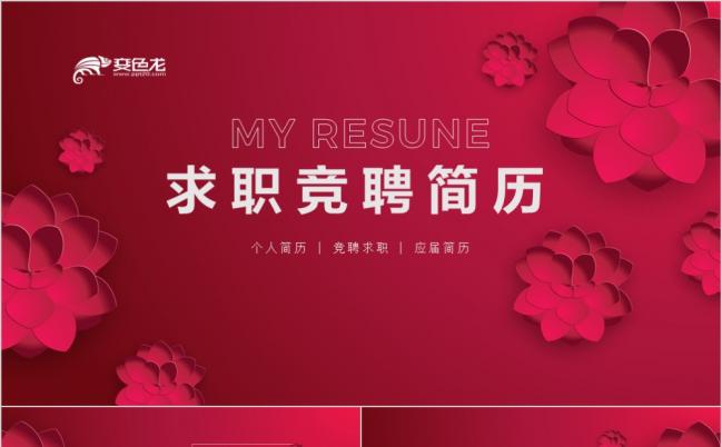立体红色花纹大气简约个人竞聘简历PPT模板缩略图