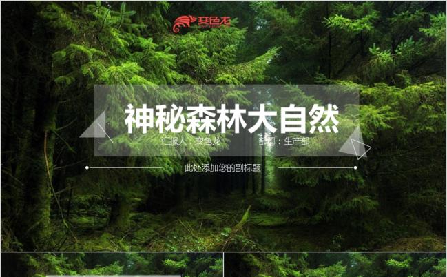 亲近大自然神秘森林风格述职报告年终总结PPT动态模板缩略图