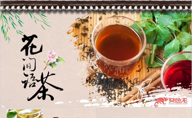 整洁优雅中国风茶文化知识普及PPT模版缩略图