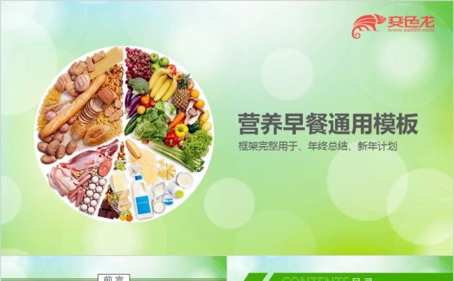 清新绿营养餐饮商务风年终总结/新年计划ppt模板缩略图