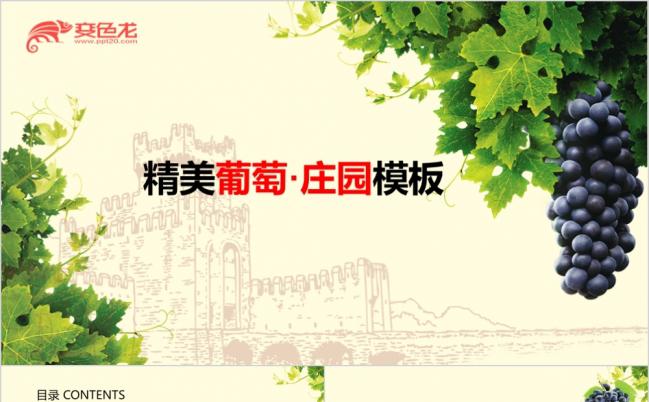 绿色精美葡萄庄园宣传推广PPT模版缩略图