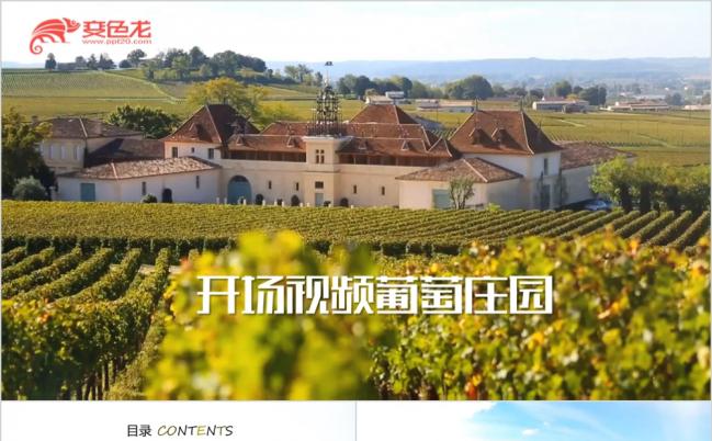 整洁大气葡萄庄园介绍开场视频PPT模版缩略图