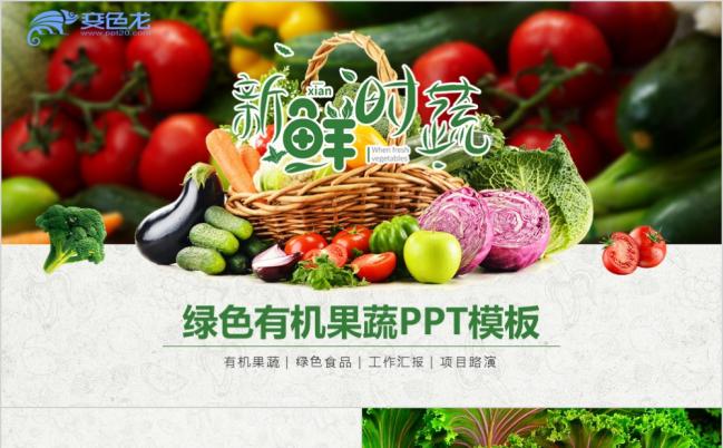 绿色天然有机果蔬产品推广PPT模版缩略图