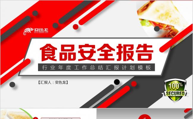 2019简约创意食品安全工作总结计划汇报模板缩略图