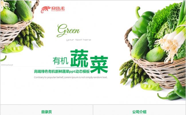 高端绿色有机新鲜蔬菜推广PPT模版缩略图