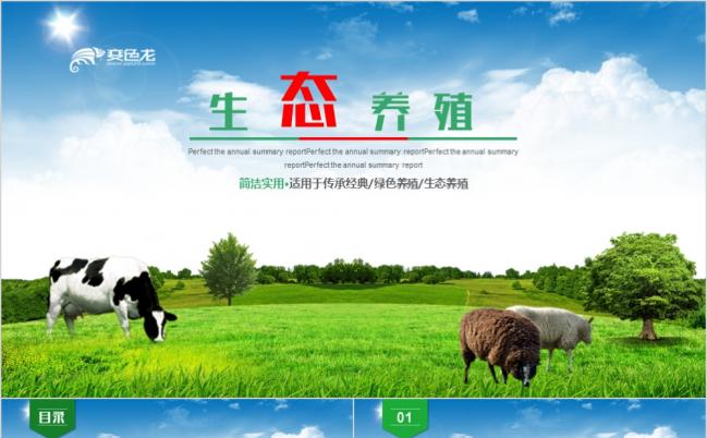 绿色生态畜牧业养殖简介PPT模板缩略图