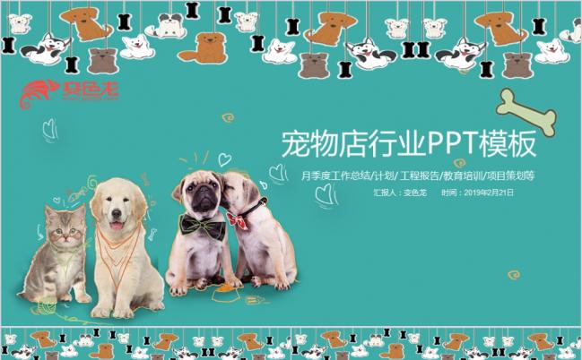 卡通风动感宠物领养宠物行业宠物美容PPT缩略图