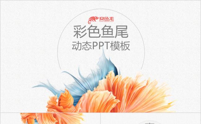 极简典雅文艺彩色鱼尾动态演示PPT模板缩略图