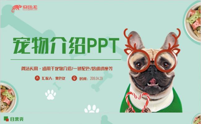 卡通风清新宠物店宠物领养宠物美容宠物介绍PPT缩略图