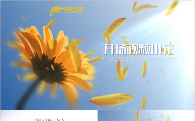 简洁蓝色向日葵商务工作总结汇报PPT模板缩略图