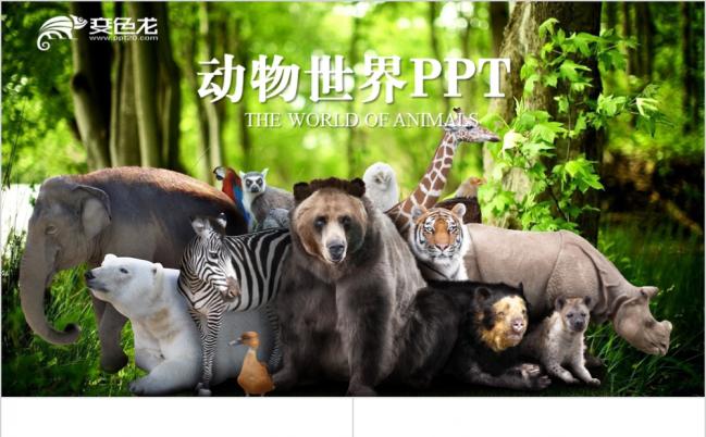 自然风原始森林动物世界ppt动态模板缩略图