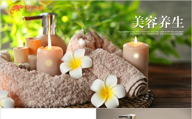 高档SPA美容养生会所工作总结PPT动态模板缩略图