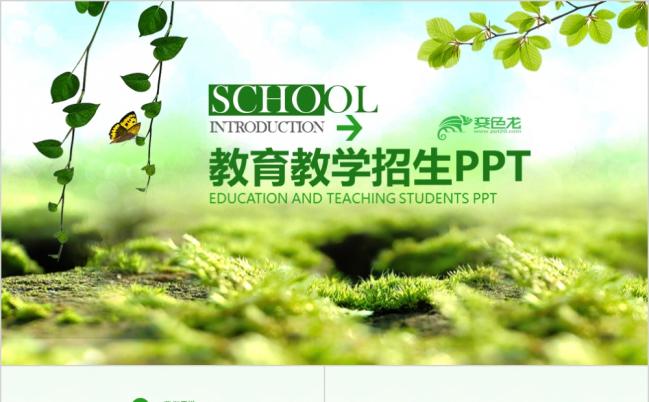 绿色教师公开课教育教学设计课件PPT模板缩略图