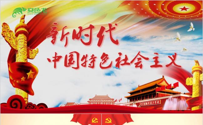 新时代中国特色社会主义精致精美PPT模板缩略图