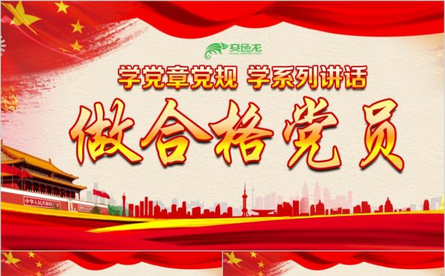 精美大气喜迎十九大做合格党员PPT模板缩略图
