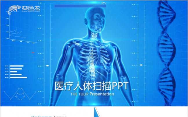 蓝色人体扫描医学科技展示PPt动态模板缩略图