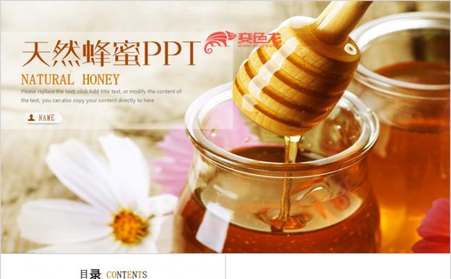 简洁时尚绿色食品蜂蜜蜜蜂养蜂厂PPT模板缩略图