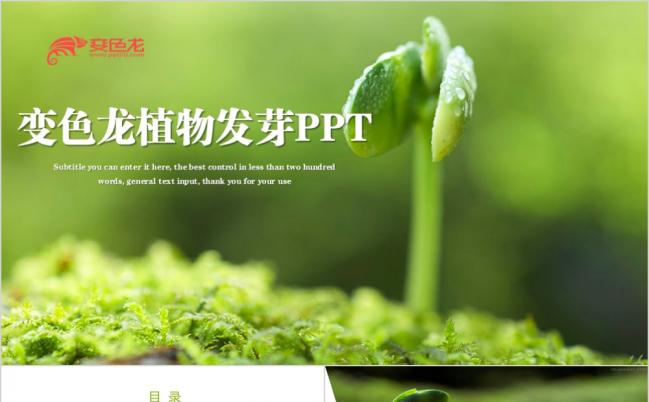 小清新绿色植物发芽生命成长PPT模板缩略图