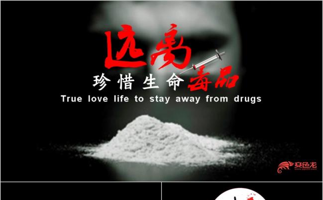 黑色严谨庄重禁毒委员会禁毒宣传反毒品日PPT模板缩略图