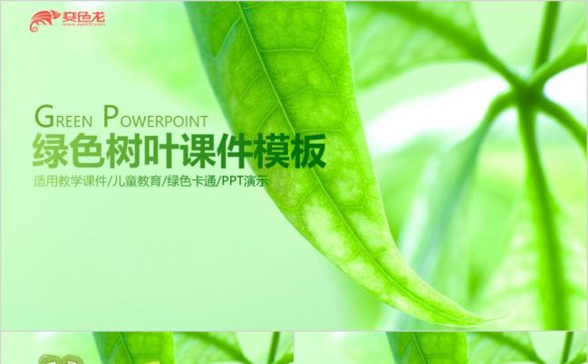 绿色树叶清新淡雅教育教学课件PPT模板缩略图