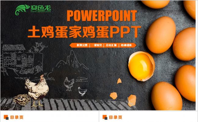 精美土鸡蛋家鸡鸡蛋家禽饲养ppt模板缩略图