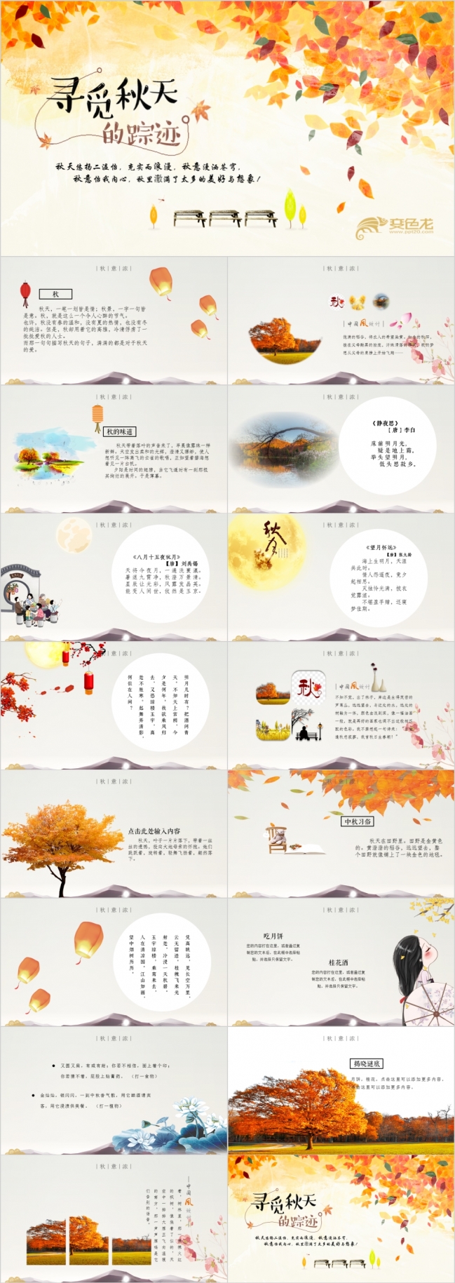 寻觅秋天的踪迹唯美动态PPT模板