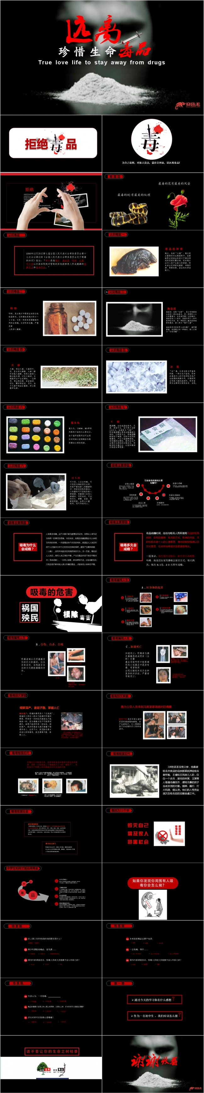 黑色严谨庄重禁毒委员会禁毒宣传反毒品日PPT模板