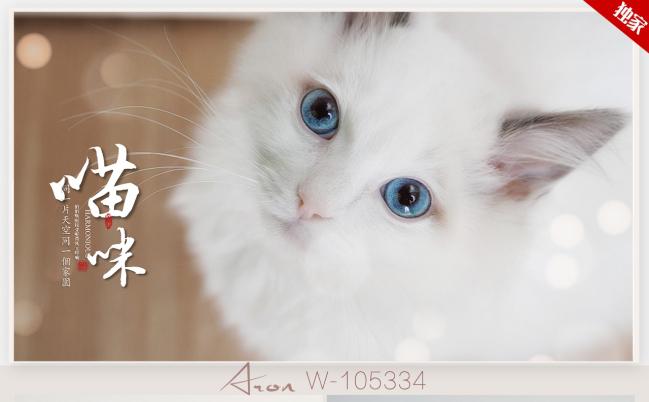 可爱萌宠猫咪合集相册ppt动态模板缩略图