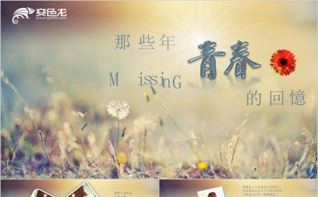 回忆匆匆那年电子相册ppt模板缩略图