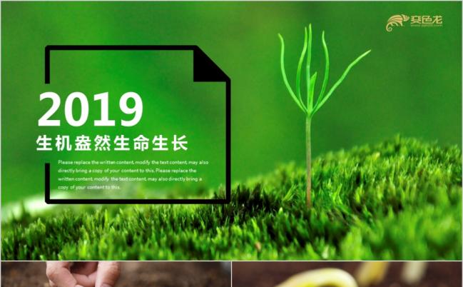 绿色健康生态农业绿色农业发芽生长过程小树苗PPT模板缩略图
