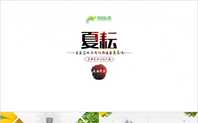 四季轮回之夏耘主题PPT模板缩略图