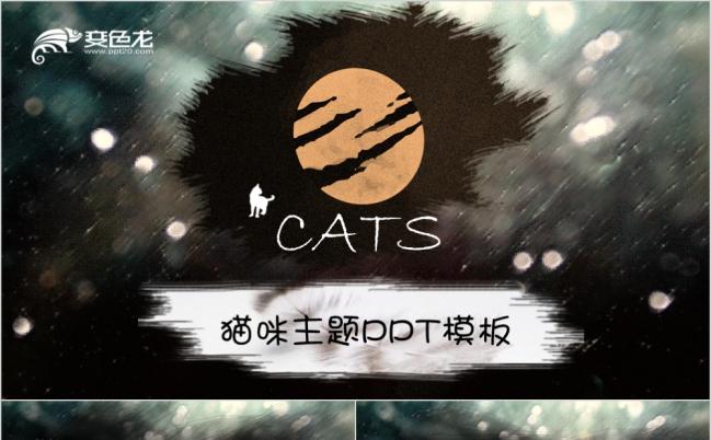 艺术风猫咪主题PPT模板缩略图