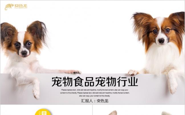 时尚简约宠物店创业宠物食品宠物医院工作总结PPT模板缩略图