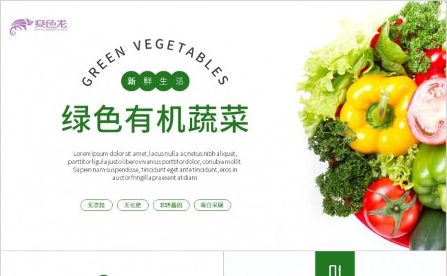 绿色有机水果健康养生ppt模板缩略图