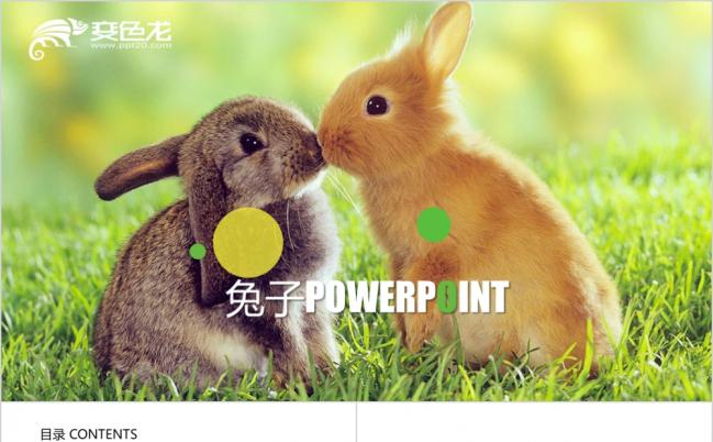 2019一对可爱的小白兔ppt动态模板缩略图