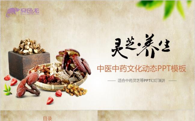 传统中医文化动态PPT模板缩略图