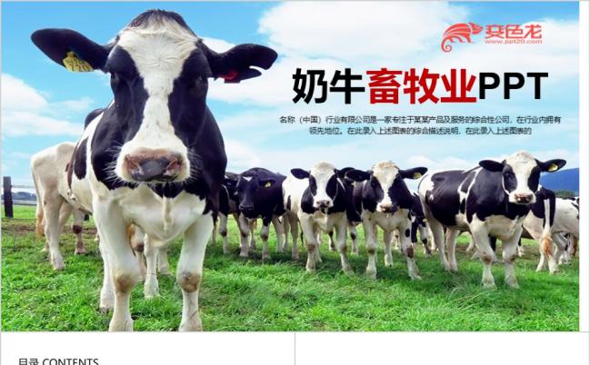 2019畜牧业乳业农场养殖农业奶牛PPT模板缩略图